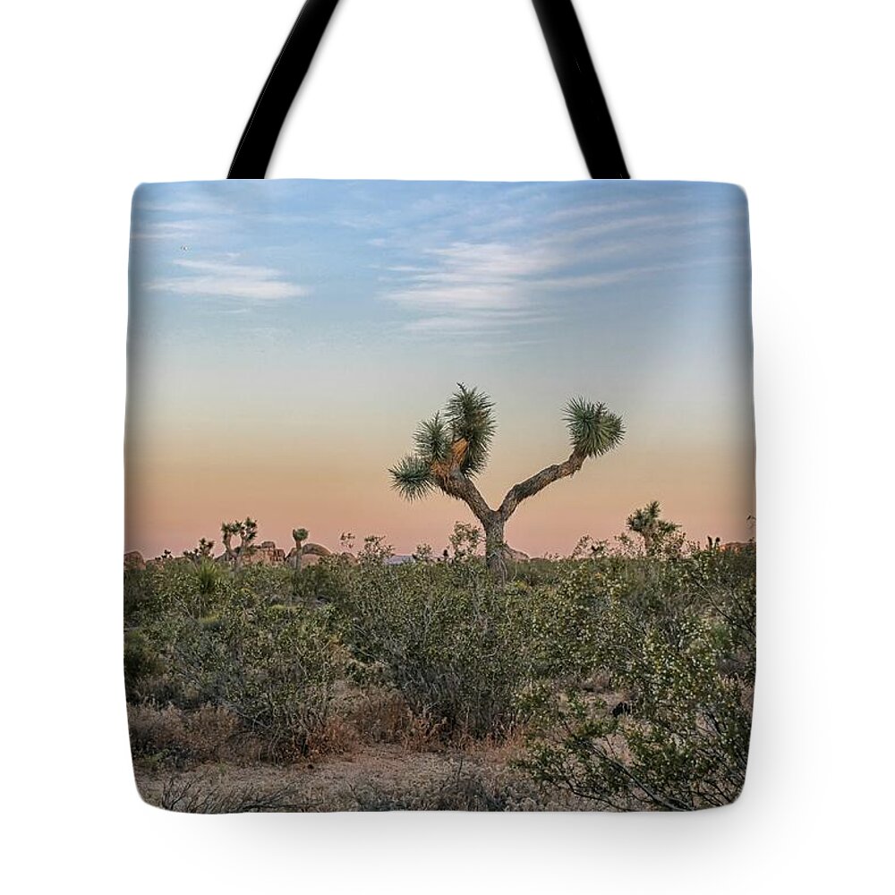 Joshua Tree Tote Bag featuring the photograph Joshua Tree Evening by Alison Frank