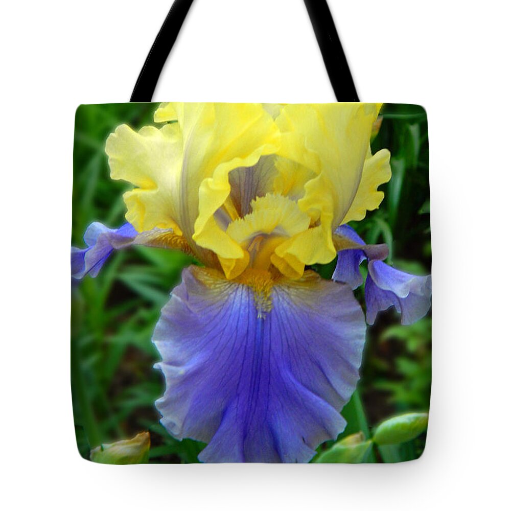Julie's Iris Tote Bag featuring the photograph Julie's Iris by Emmy Vickers