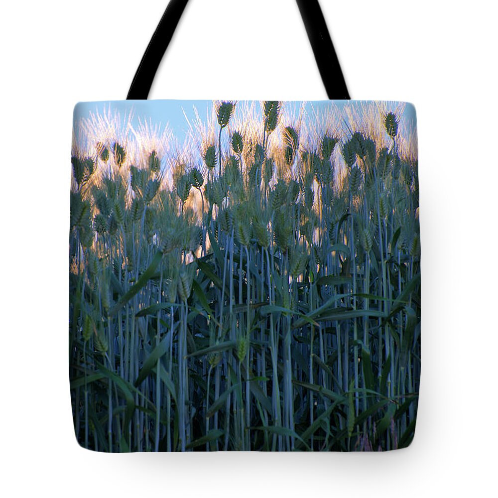 Outdoors Tote Bag featuring the photograph July Crops II by Doug Davidson