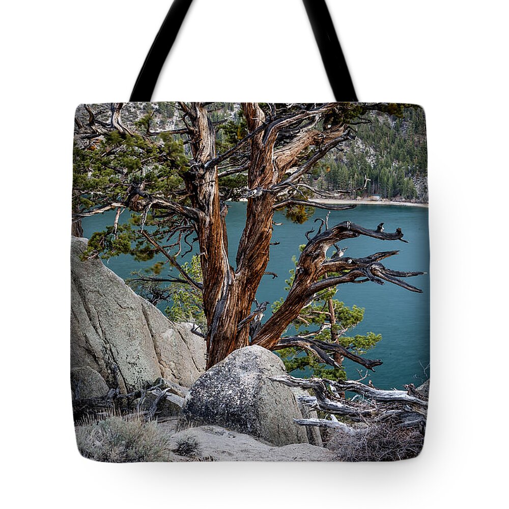 Water Tote Bag featuring the photograph June Lake Juniper by Cat Connor
