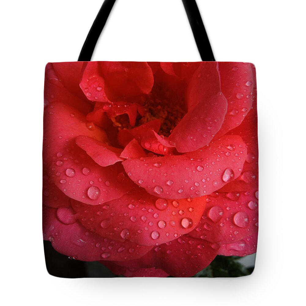 Colette Tote Bag featuring the photograph June Rose by Colette V Hera Guggenheim