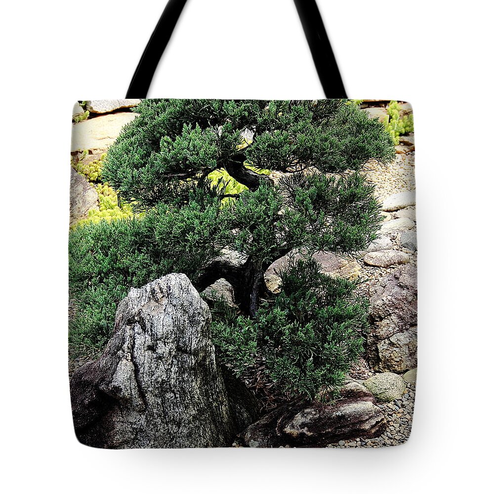 Tree Tote Bag featuring the photograph Juniper by Allen Nice-Webb