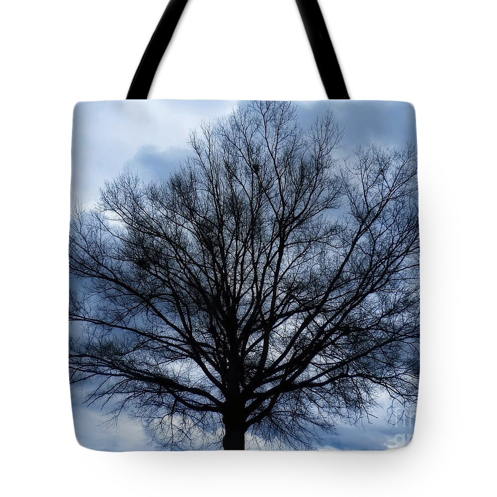 Tree Tote Bag featuring the photograph Just a Gray Blue Day by Sue Melvin