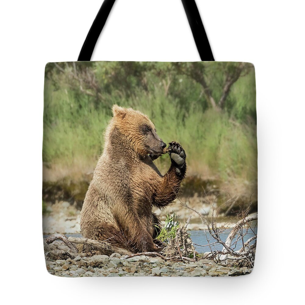 Alaska Tote Bag featuring the photograph Just a Little Fiber by Cheryl Strahl