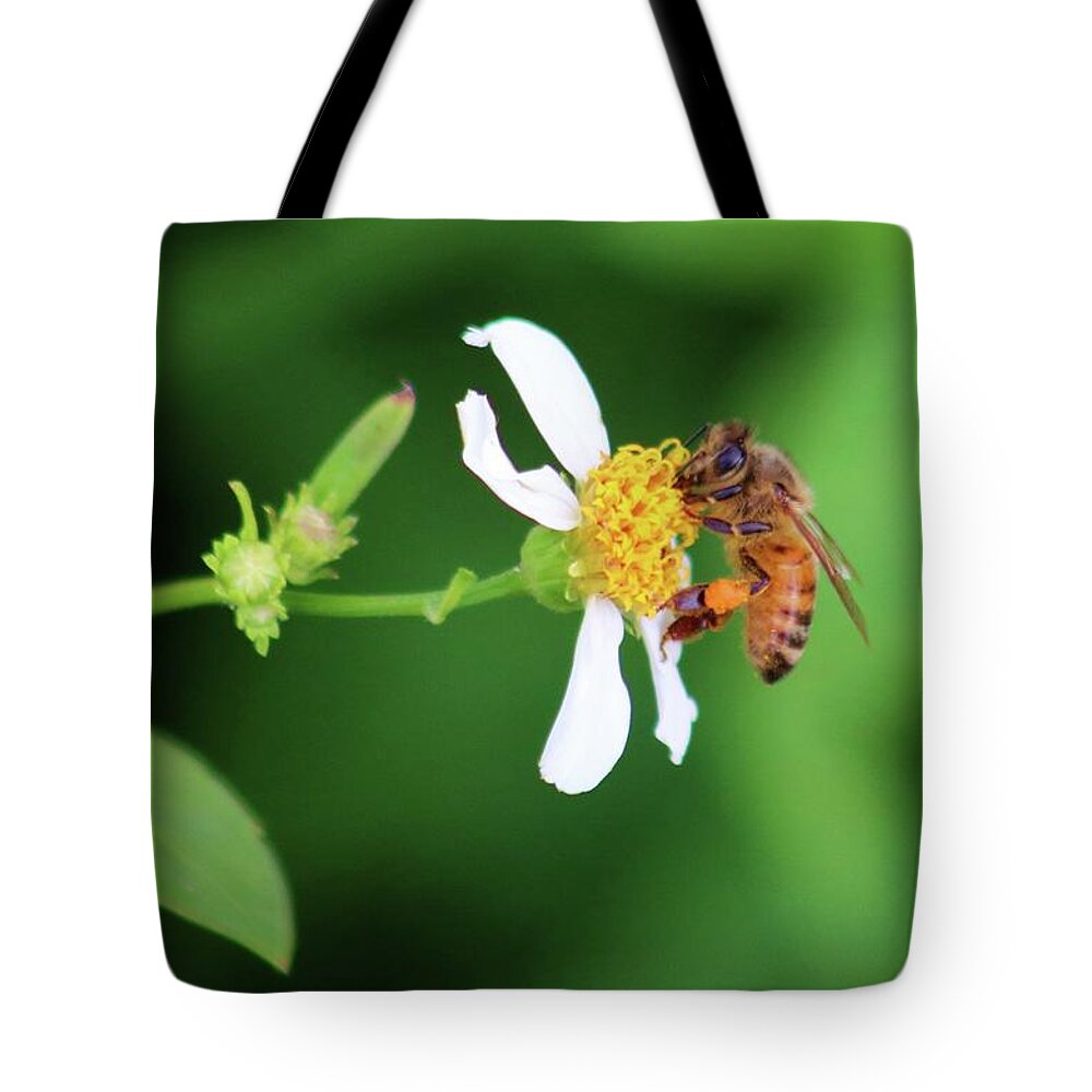Photo For Sale Tote Bag featuring the photograph Just a little Sip by Robert Wilder Jr