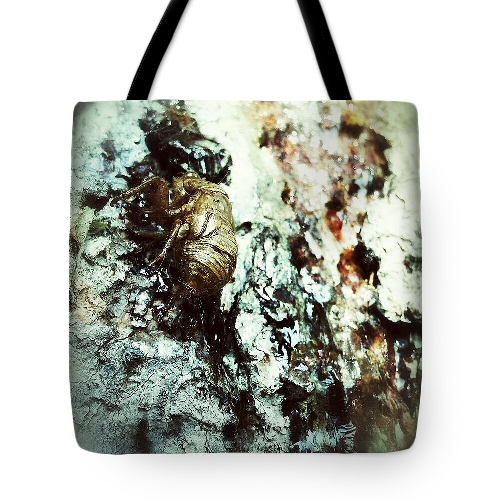 Bug Tote Bag featuring the photograph Just a Shell by Robert Knight