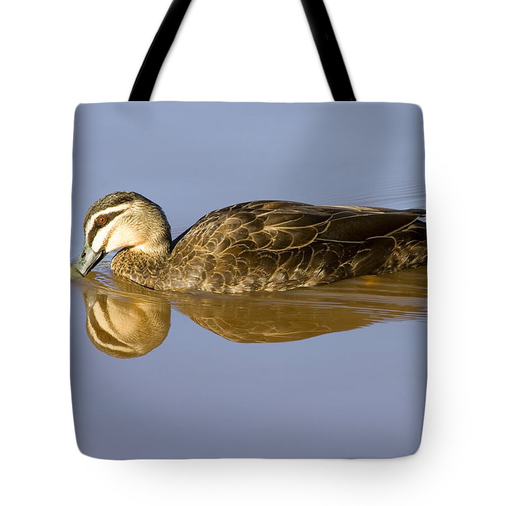 Duck Tote Bag featuring the photograph Just a Sip by Michael Dawson