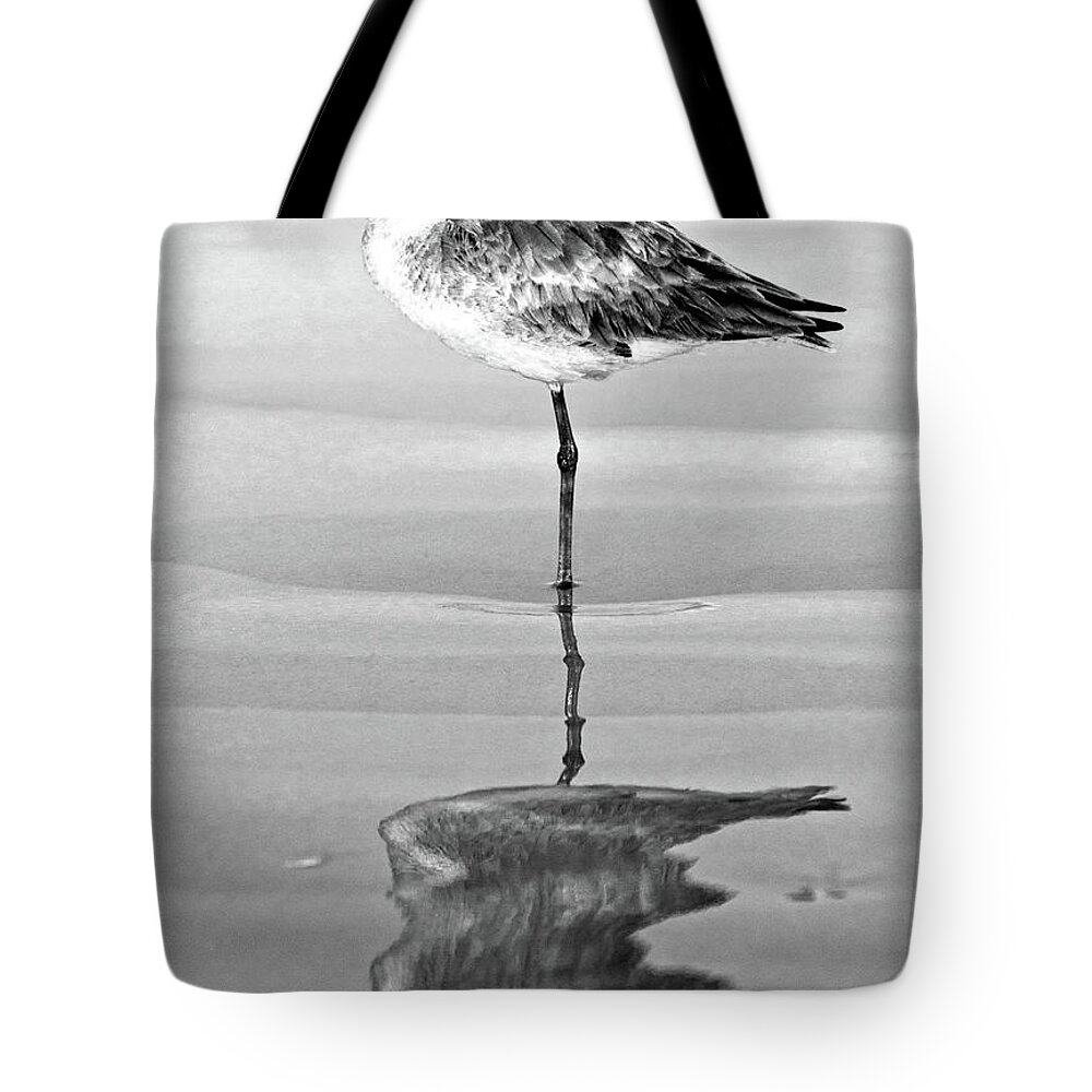 Willet Tote Bag featuring the photograph Just Being Coy - BW by Christopher Holmes