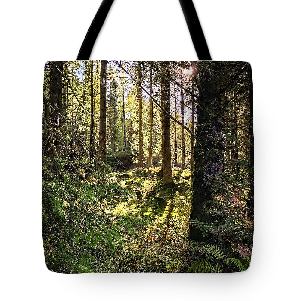 Betws-y-coed Tote Bag featuring the photograph Just Beyond by Geoff Smith