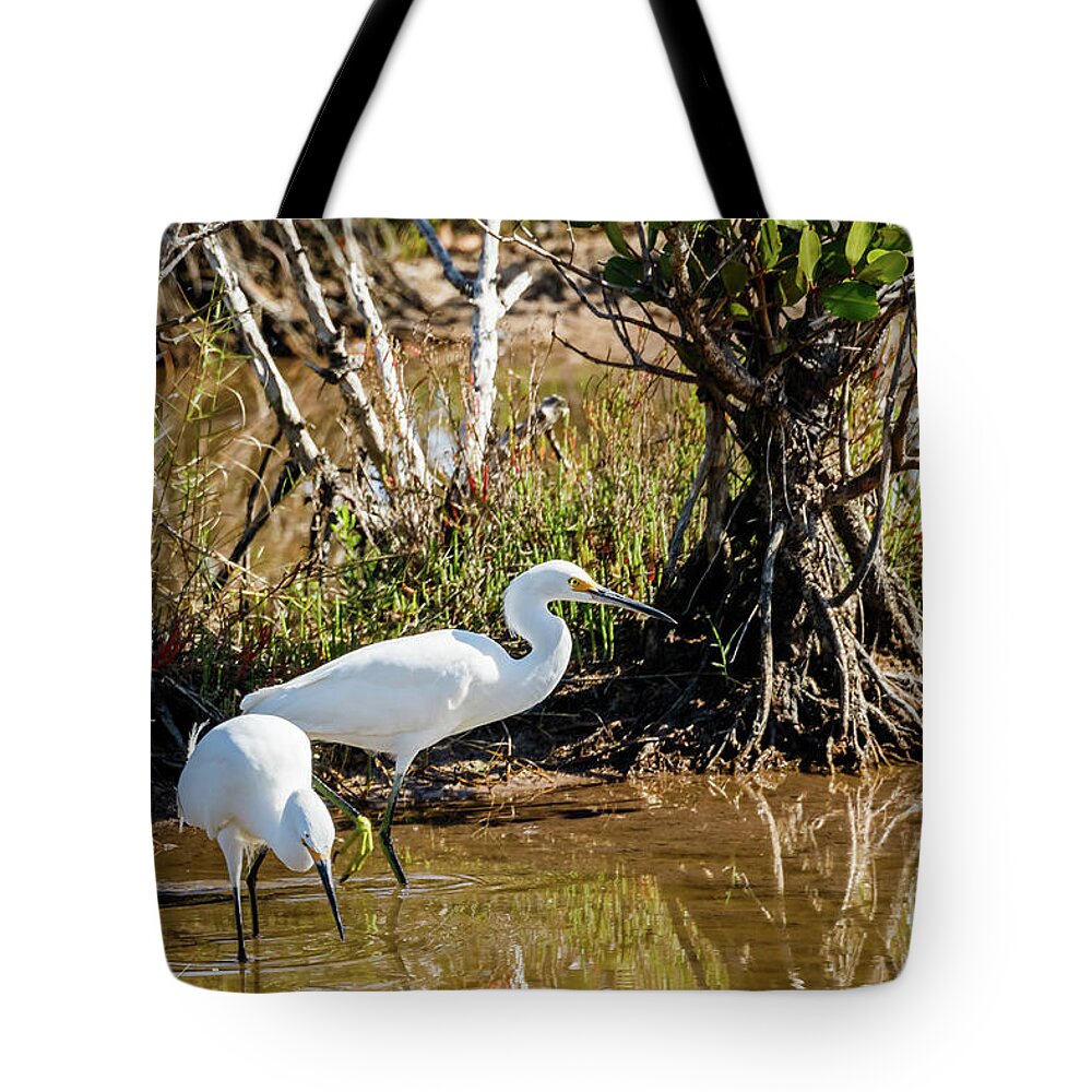 Birds Tote Bag featuring the photograph Just chillin by Les Greenwood