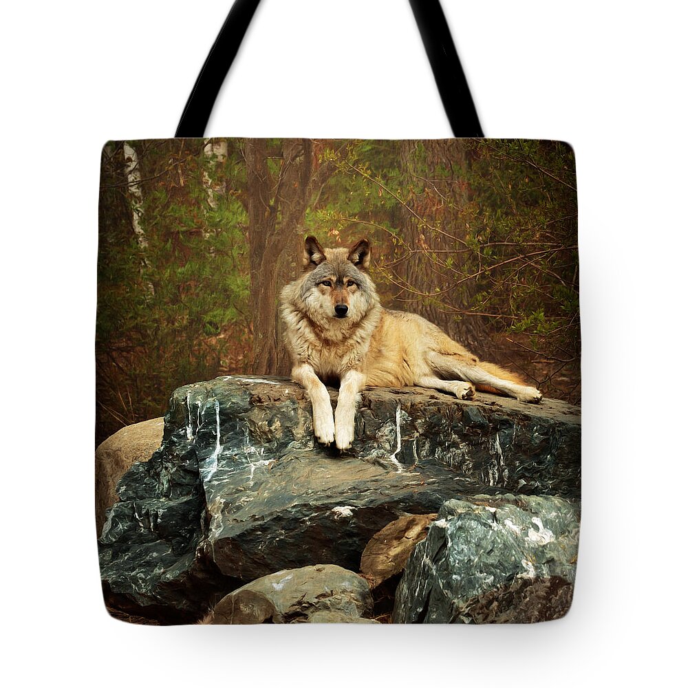 Animal Tote Bag featuring the photograph Just Chilling by Susan Rissi Tregoning