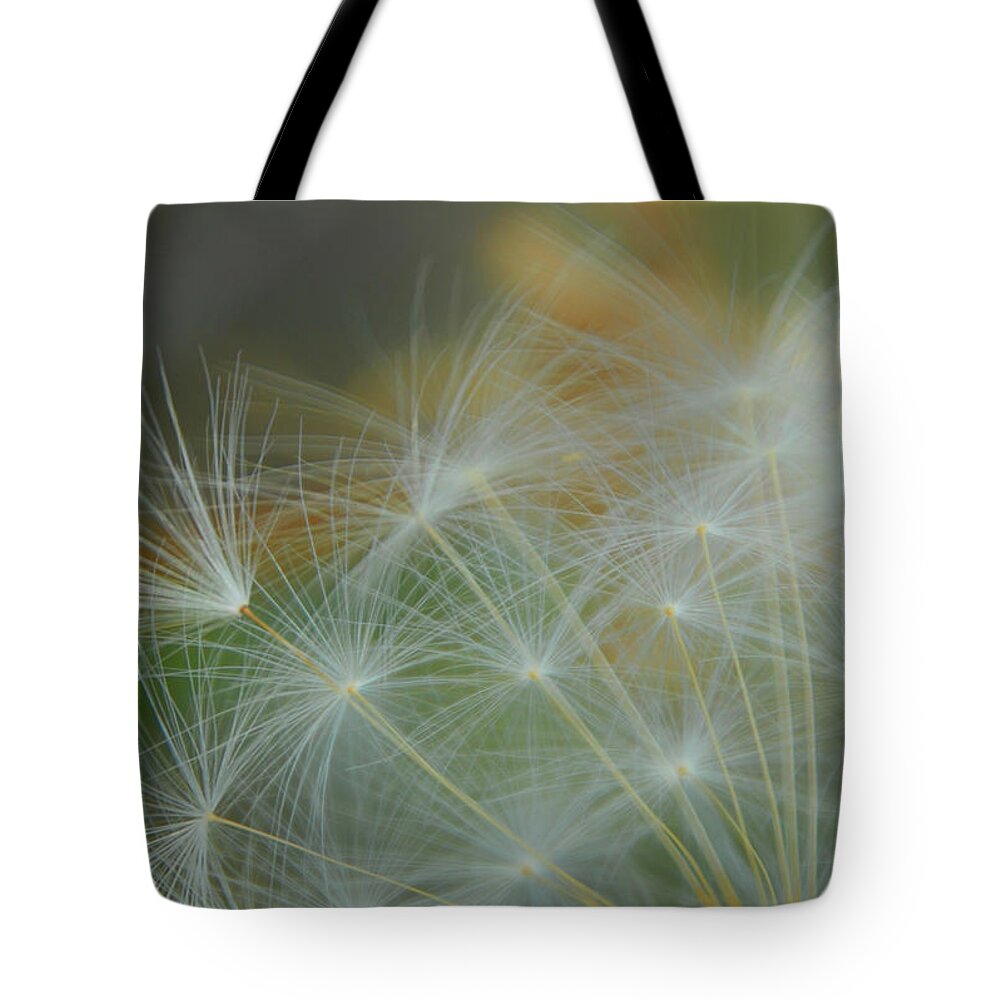 Dandelion Tote Bag featuring the photograph Just Dandy by Donna Blackhall