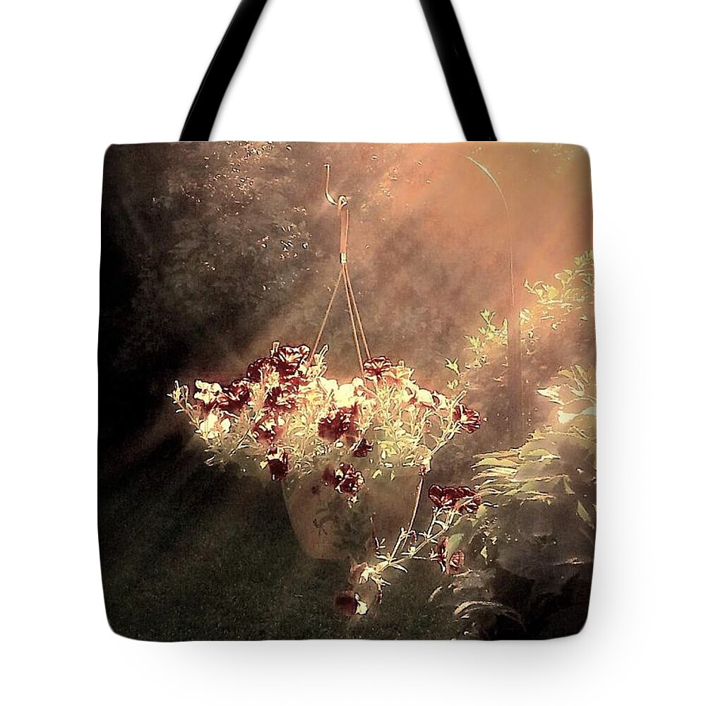 Sun Tote Bag featuring the photograph Just Dreaming by Dani McEvoy