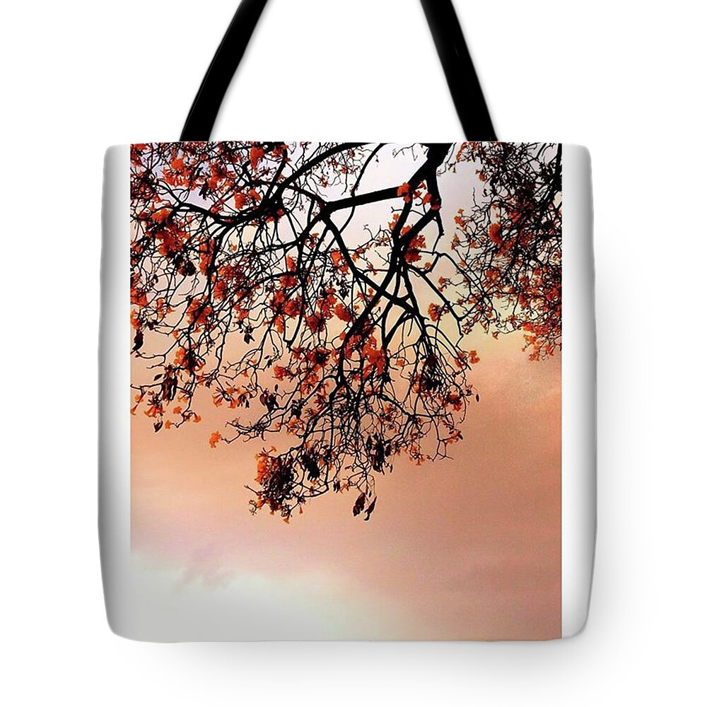 Beautiful Tote Bag featuring the photograph Just Like Painting tree by Rajesh Yadav