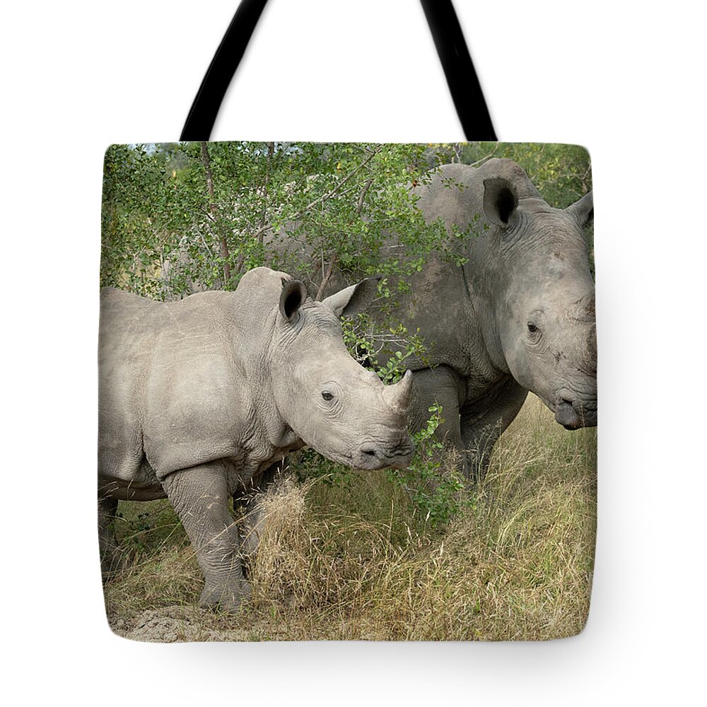 South Africa Tote Bag featuring the photograph Just Me and Mom - Sabi Sands by Sandra Bronstein