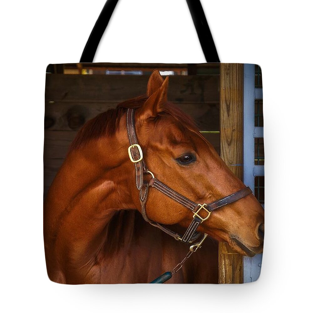 Jock Tote Bag featuring the photograph Just waiting for my turn to race by Robert L Jackson