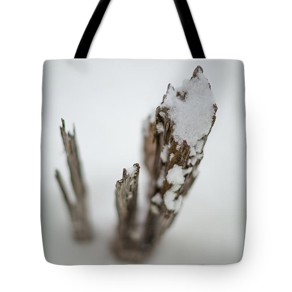 Abstract Tote Bag featuring the photograph Jutting out at f1.2 by Jakub Sisak