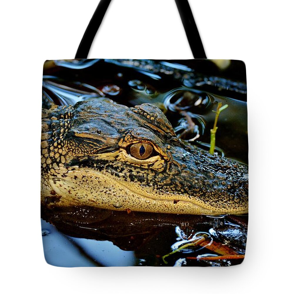 Alligator Tote Bag featuring the photograph Juvenile Gator by Julie Adair
