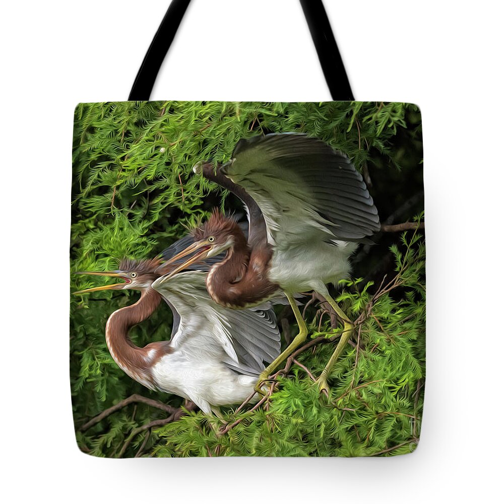 Herons Tote Bag featuring the digital art Juvenile Tricolored Heron Siblings Painted by DB Hayes