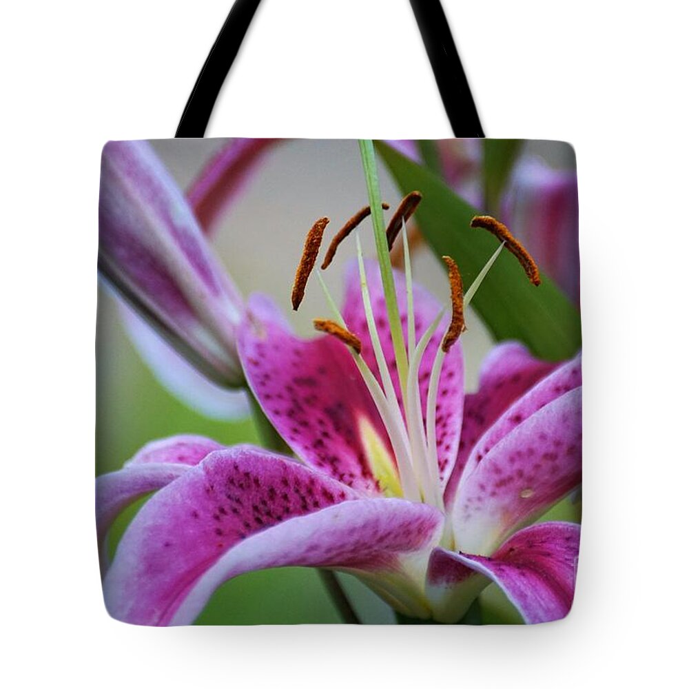 Flower Tote Bag featuring the photograph K and D Lilly 2 by Merle Grenz