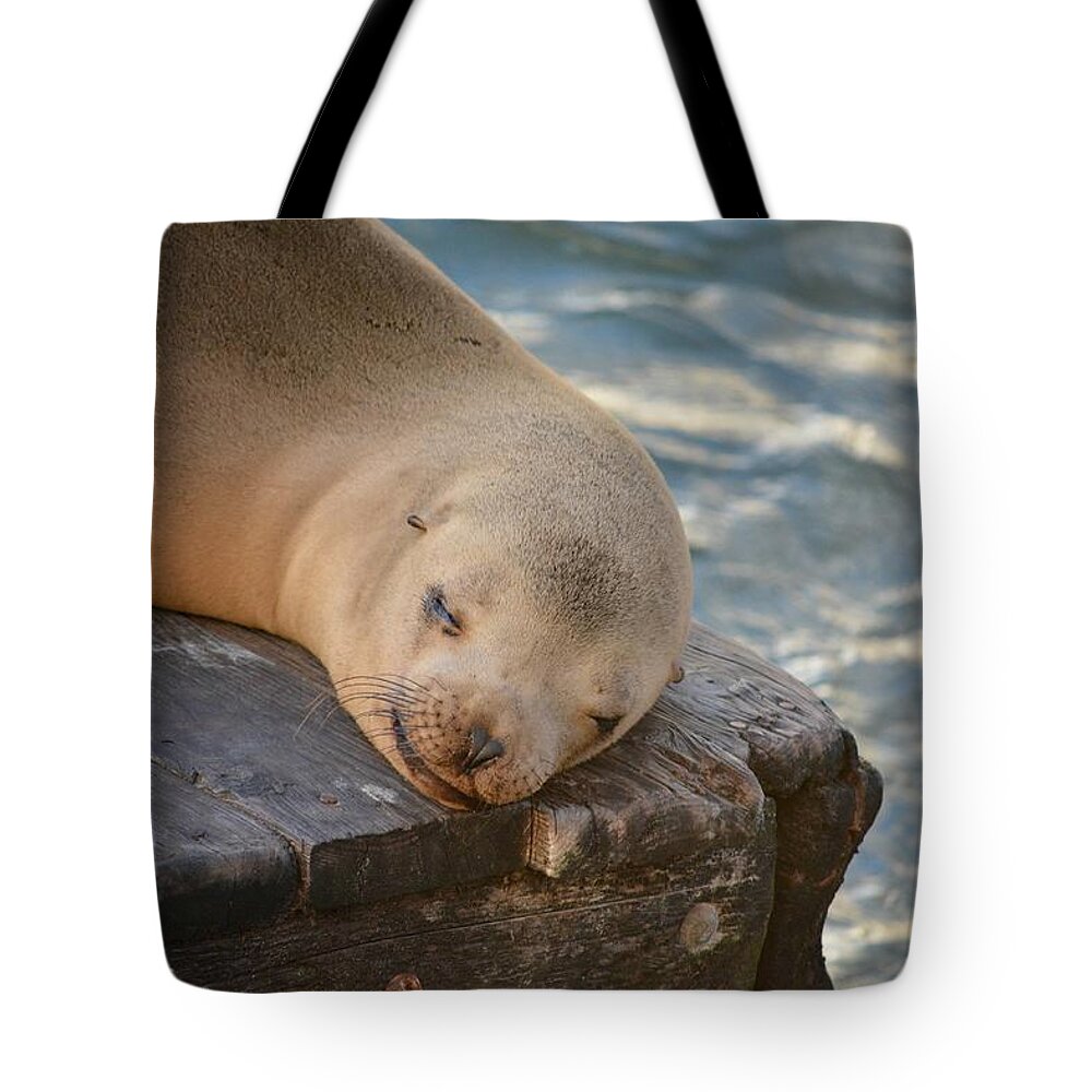 Sea Lion Tote Bag featuring the photograph K-Dock by Carolyn Mickulas