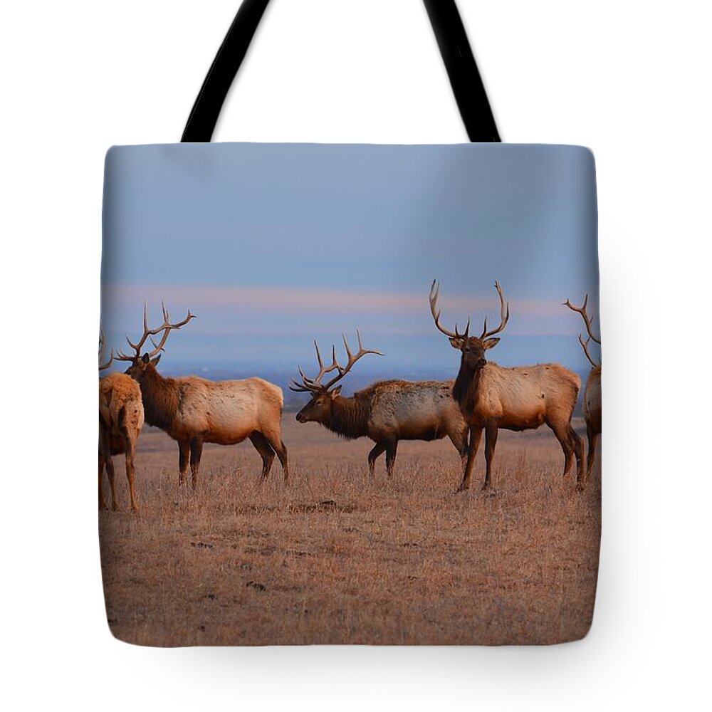 Elk Tote Bag featuring the photograph Kansas Elk Panarama by Keith Stokes