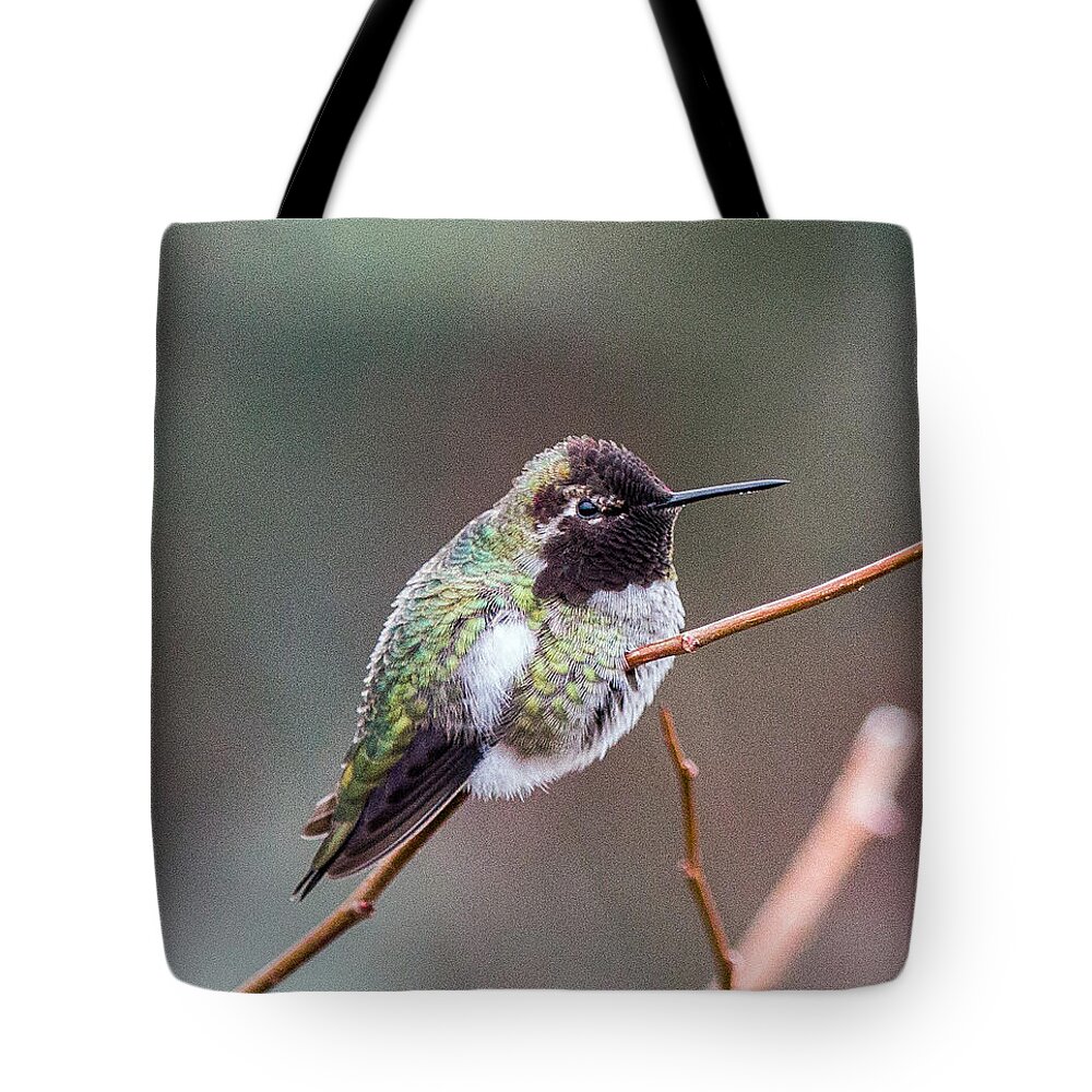 Nature Photography Tote Bag featuring the photograph Karisa's Hummingbird.2 by E Faithe Lester