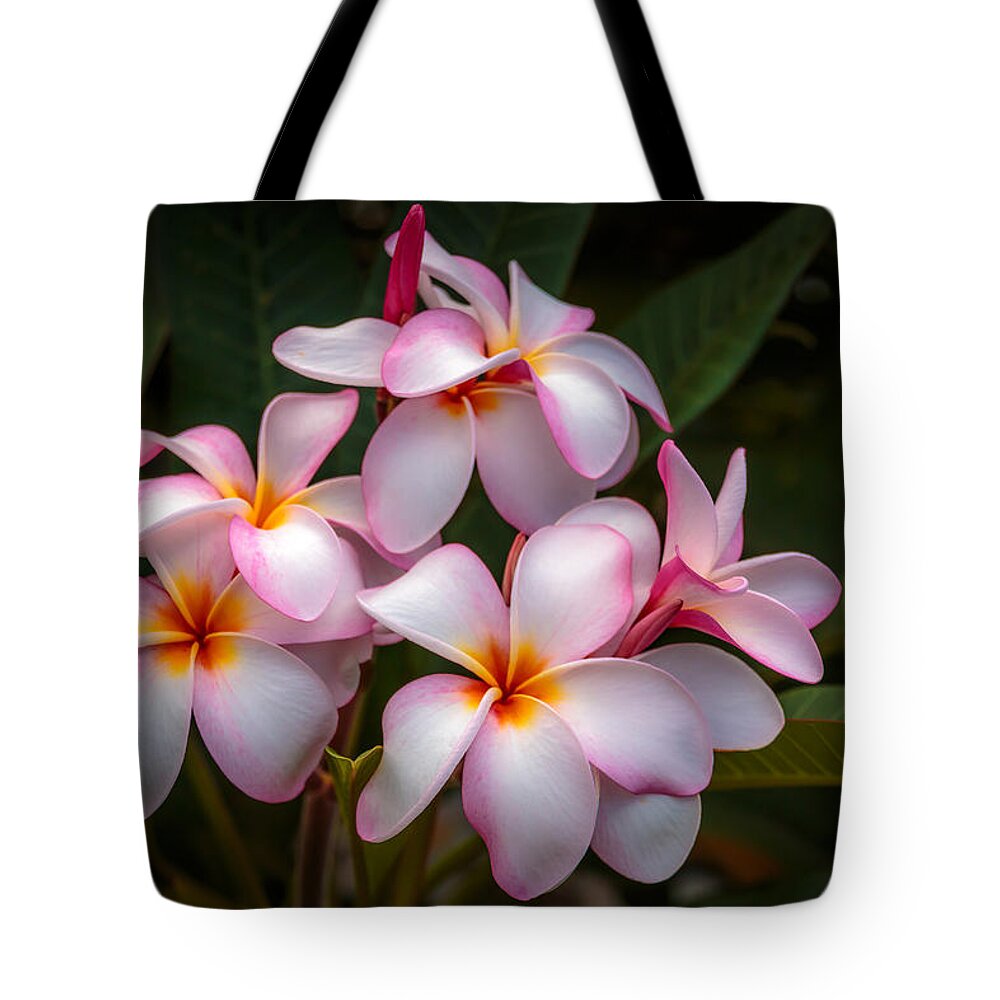 Flower Of The Day Tote Bag featuring the photograph Kauai Beauties by Jade Moon