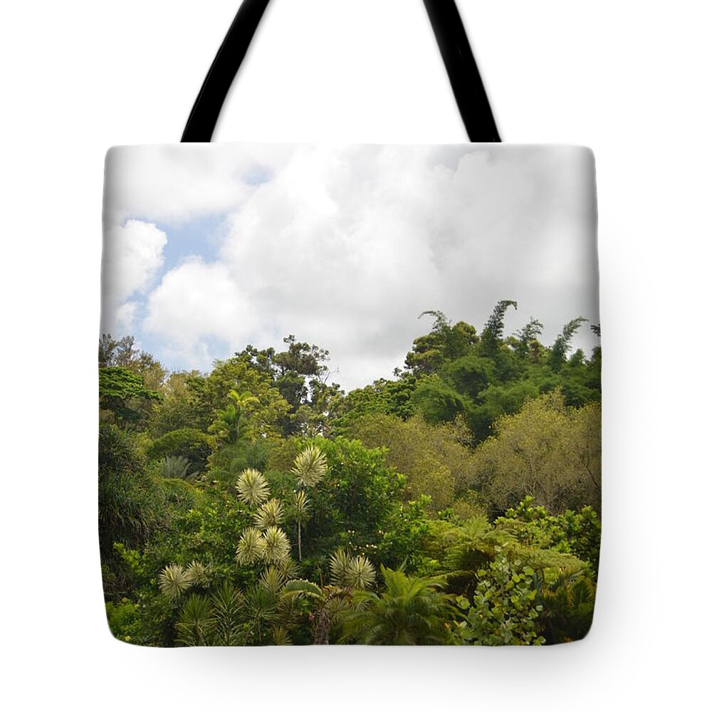 Kauai Tote Bag featuring the photograph Kauai Hindu Monastery Greenery by Amy Fose