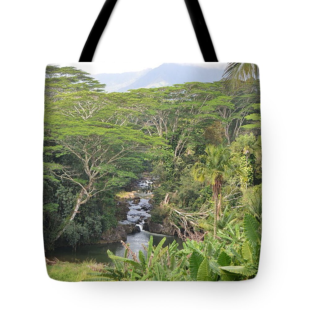 Kauai Tote Bag featuring the photograph Kauai Hindu Monastery River Valley 1 by Amy Fose