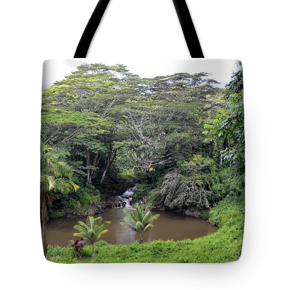 Kauai Tote Bag featuring the photograph Kauai Hindu Monastery River Valley by Amy Fose