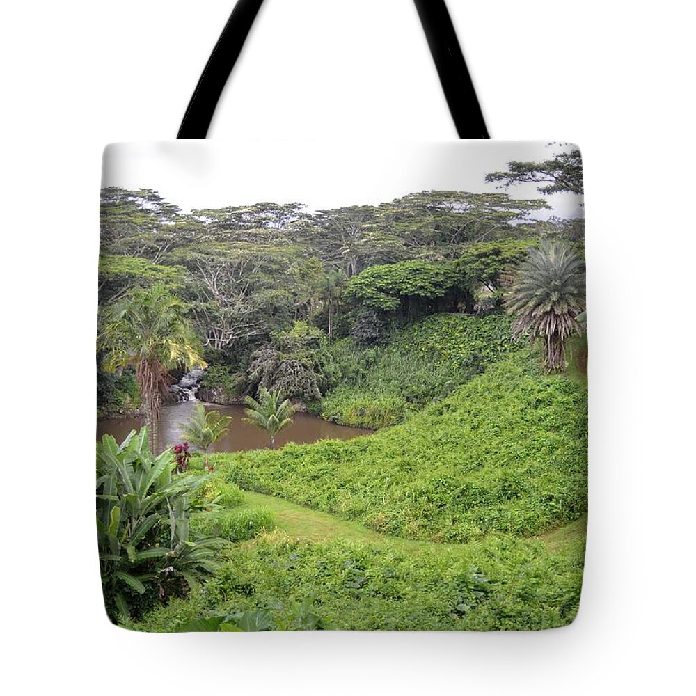Kauai Tote Bag featuring the photograph Kauai Hindu Monastery Trail by Amy Fose