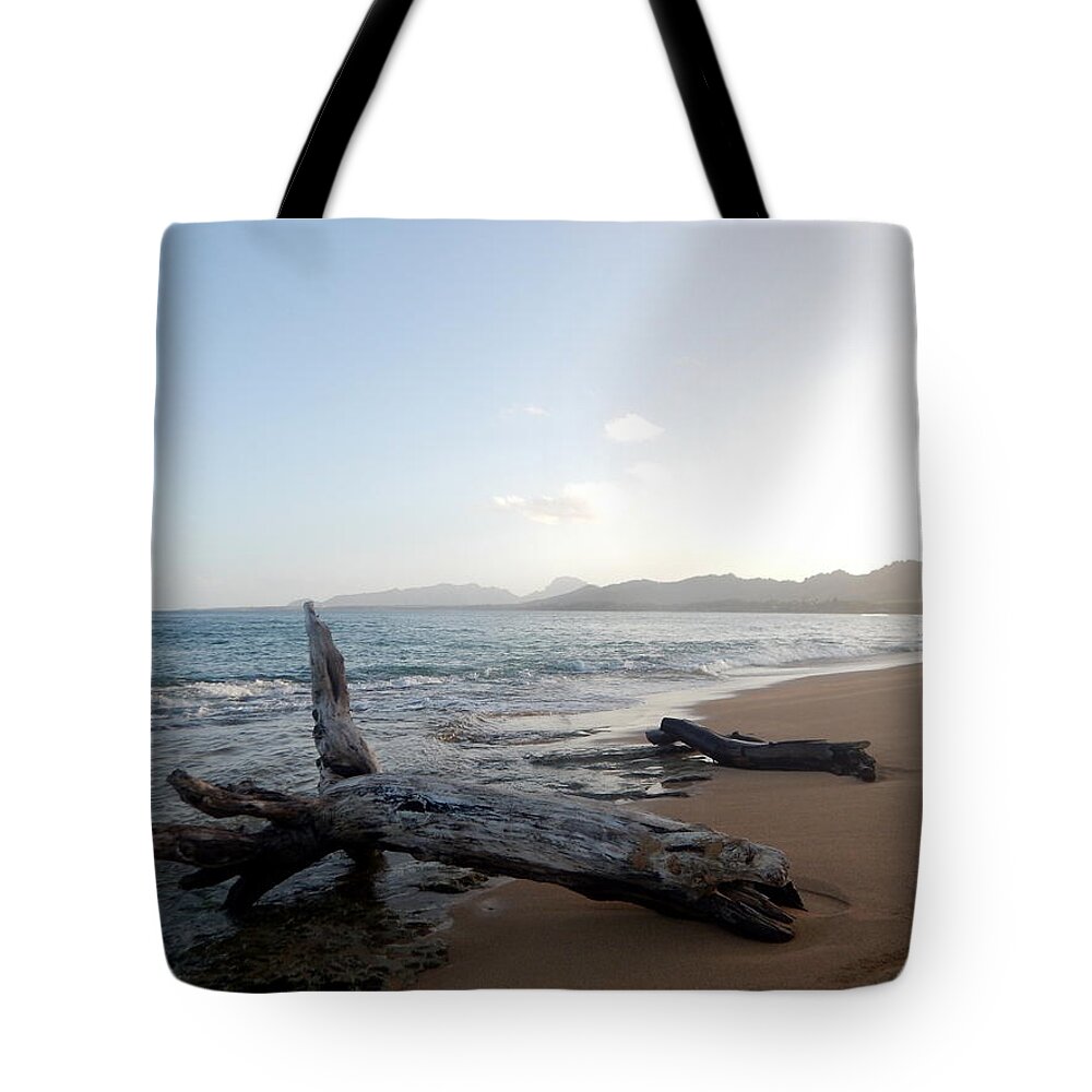 Kauai Tote Bag featuring the photograph Kauai Kapa'a Coast 2 by Amy Fose