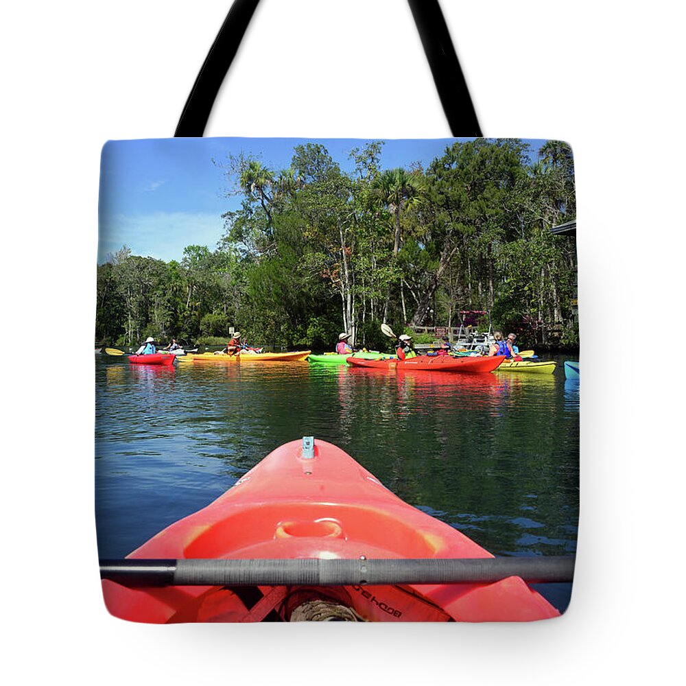 Kayaking For Manatees Tote Bag featuring the photograph Kayaking for Manatees by David Lee Thompson