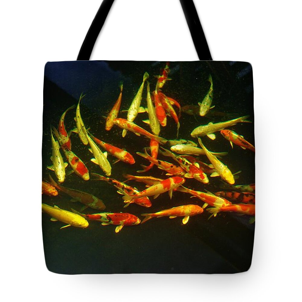 Kcsd Tote Bag featuring the photograph KCSD Koi 6 2016 by Phyllis Spoor