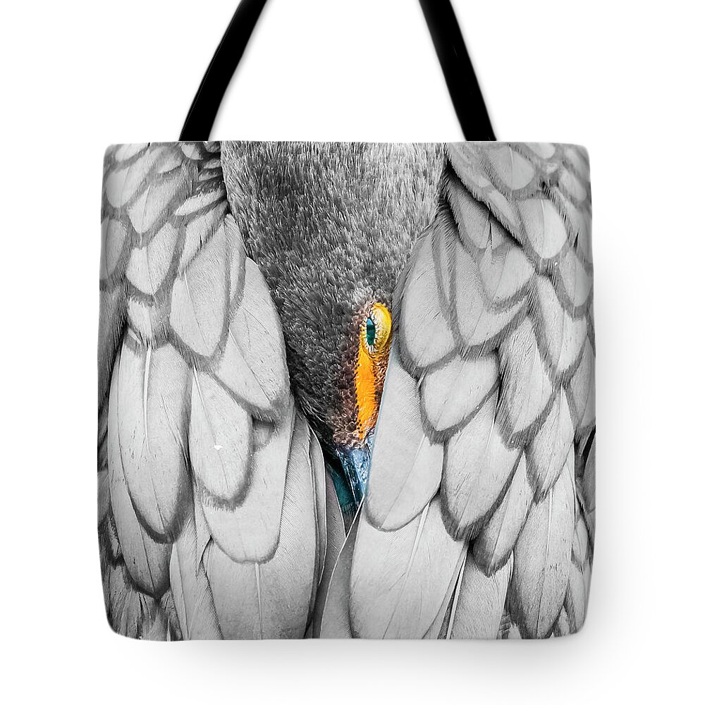  Tote Bag featuring the photograph Keeping warm. by Usha Peddamatham