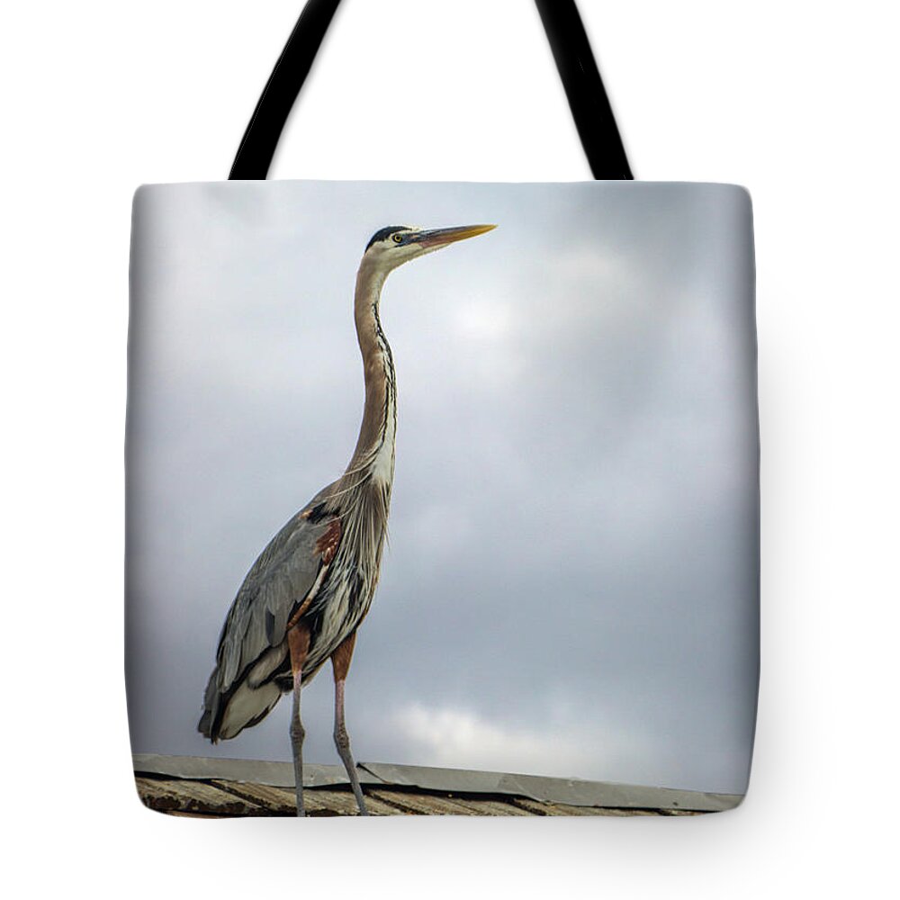Animal Tote Bag featuring the photograph Keeping Watch by Ed Clark