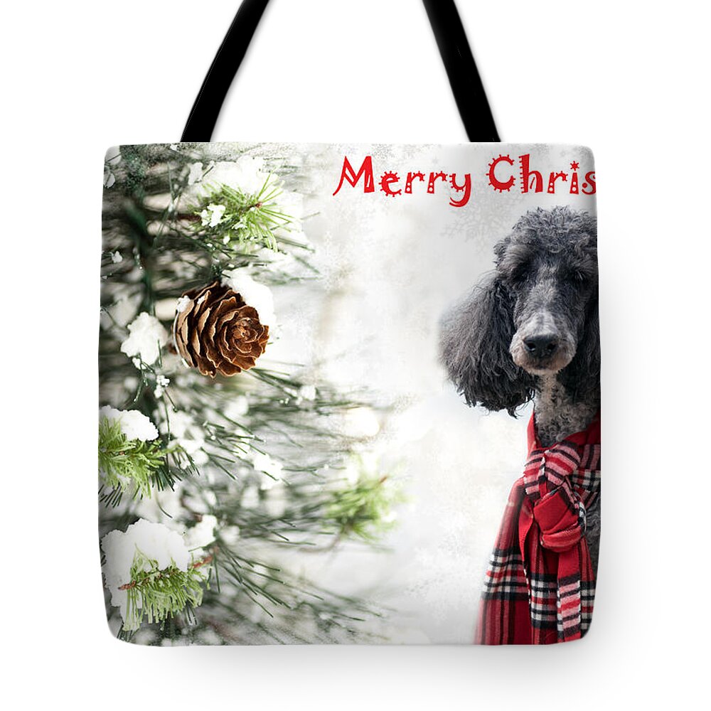  Tote Bag featuring the photograph Keno Xmas 4 by Rebecca Cozart