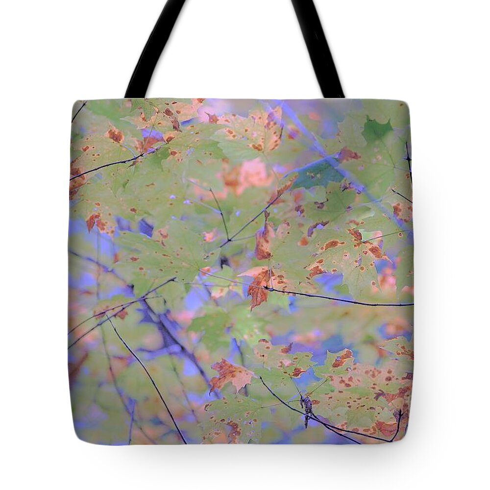 Fall Tote Bag featuring the photograph Kentucky Coloring by Merle Grenz