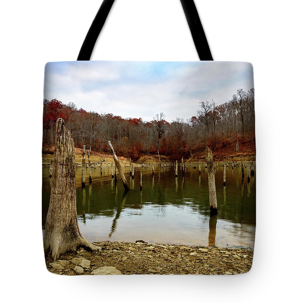 Fall Tote Bag featuring the photograph Kentucky Hollow by Michael Scott