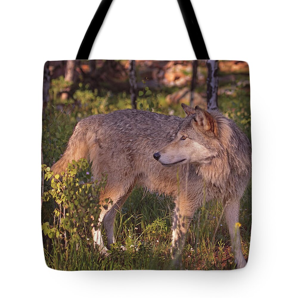 Animal Tote Bag featuring the photograph Keoka by Brian Cross