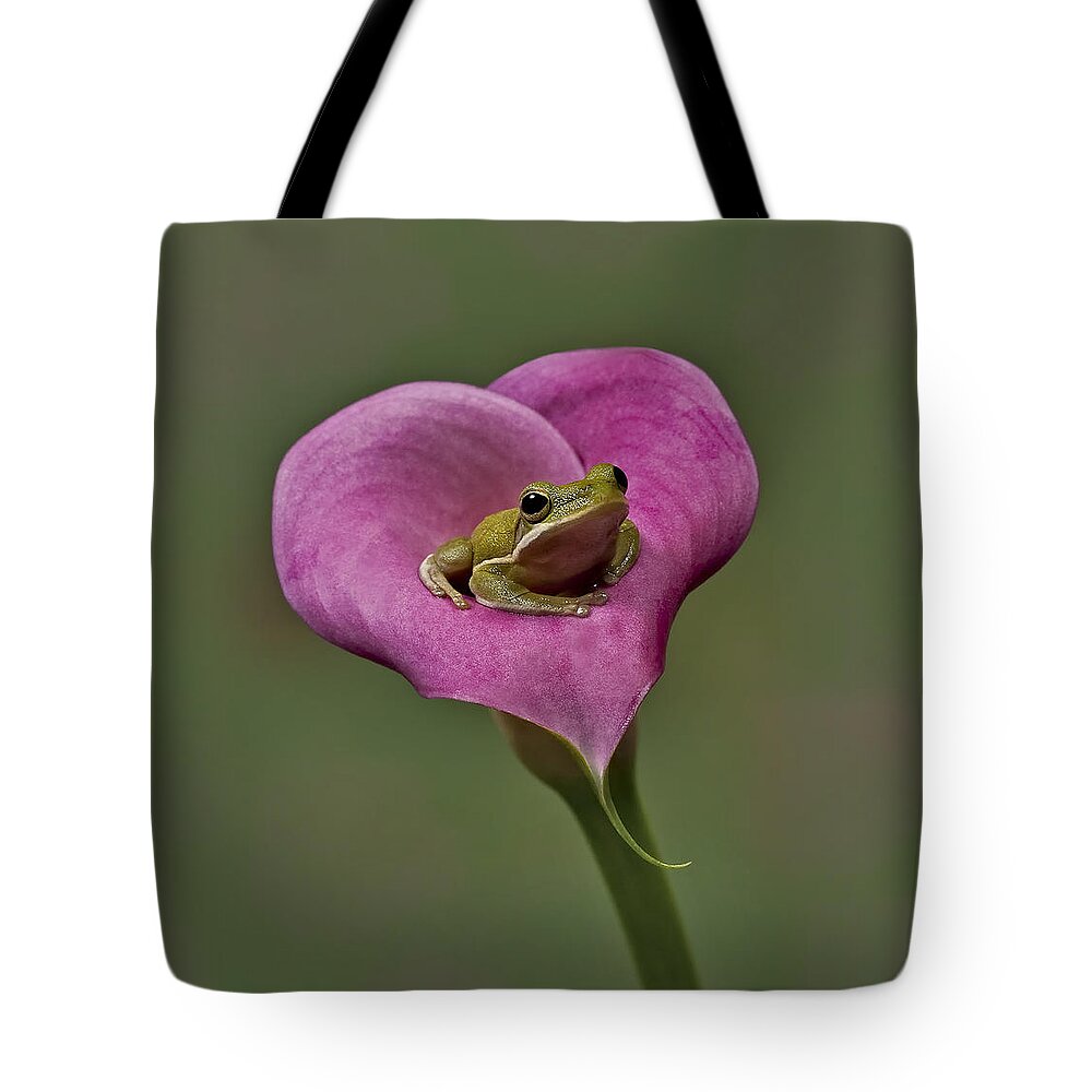 Calla Tote Bag featuring the photograph Kermit Hangs Out by Susan Candelario