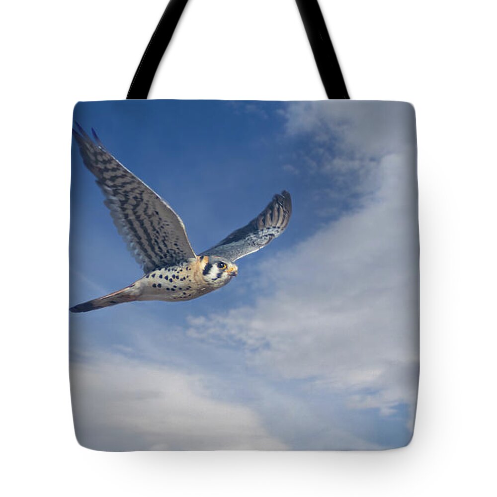 Kestrel Tote Bag featuring the photograph Kestrel in Flight by Rick Mosher