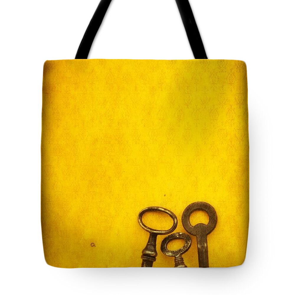 Keys Tote Bag featuring the photograph Key Family by Priska Wettstein