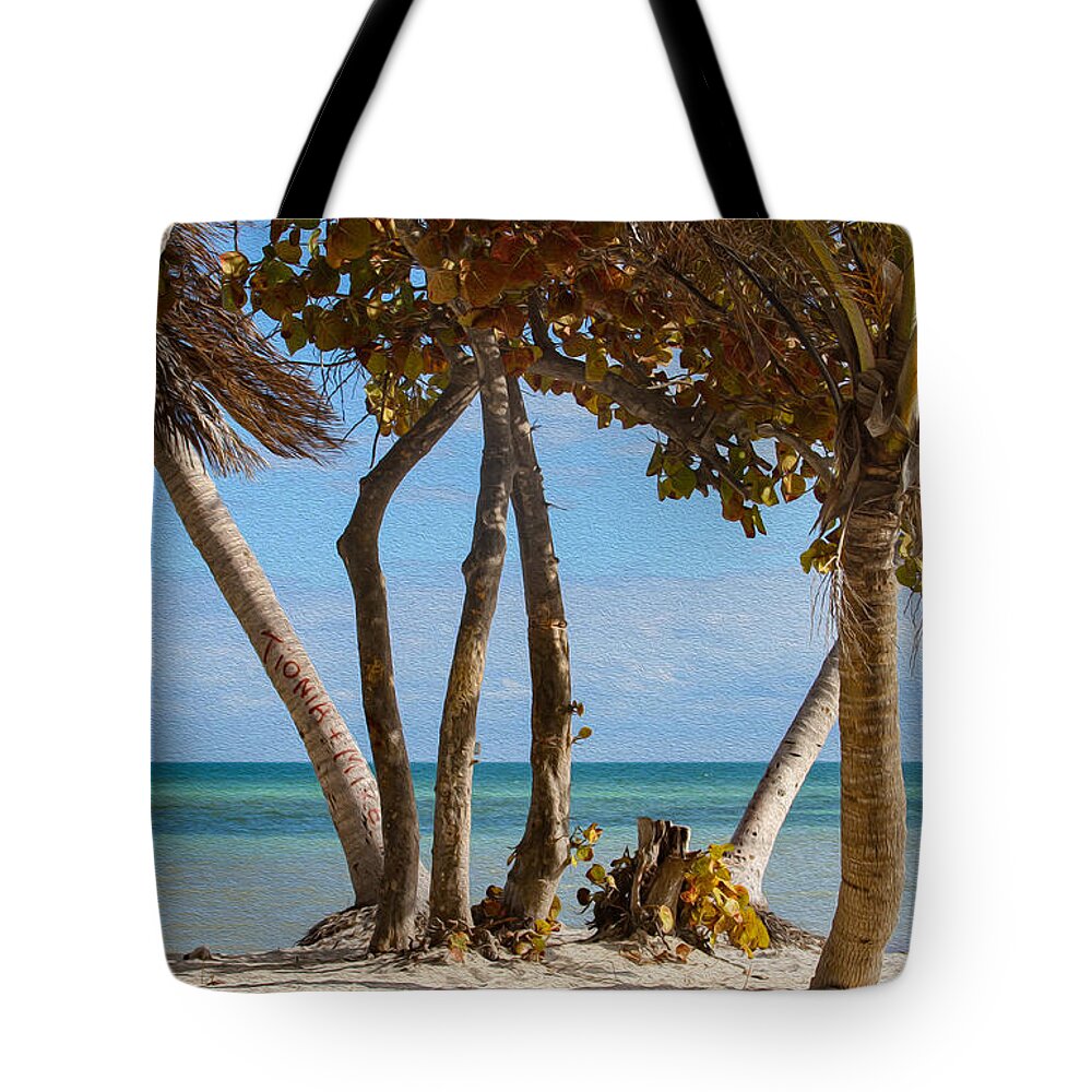 Bonnie Follett Tote Bag featuring the photograph Key West Afternoon by Bonnie Follett