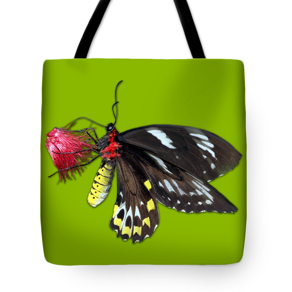 Macro Tote Bag featuring the photograph Key West Butterfly 12 by Bob Slitzan