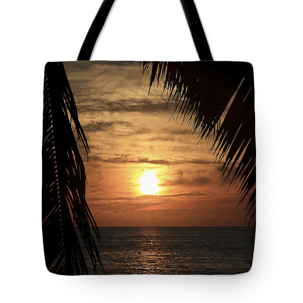 Silhouette Tote Bag featuring the photograph Key West Palm Sunset 2 by Bob Slitzan