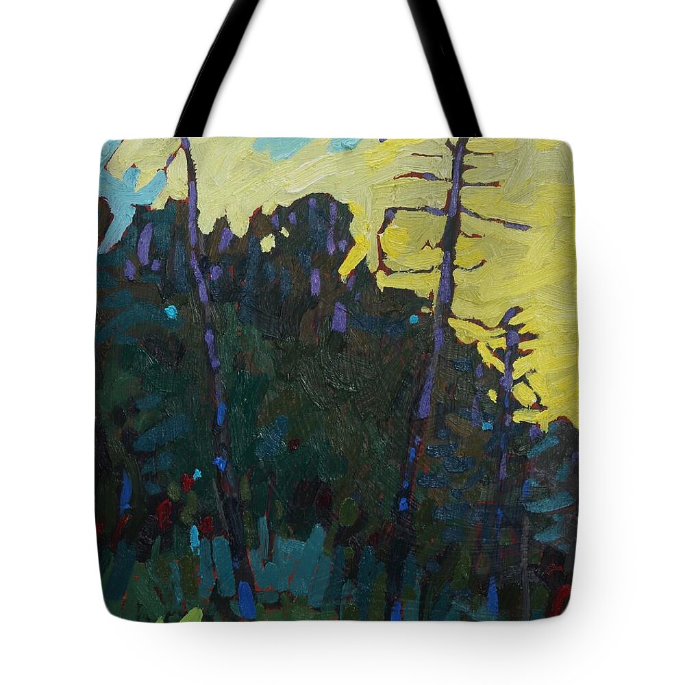 2006 Tote Bag featuring the painting Killbear Lookout Point Sunrise by Phil Chadwick