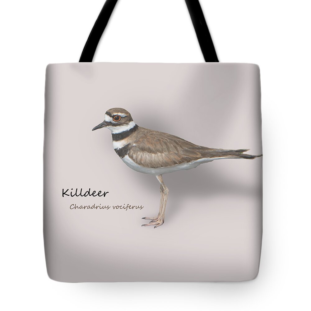 Killdeer Tote Bag featuring the photograph Killdeer - Charadrius vociferus - Transparent Design by Mitch Spence