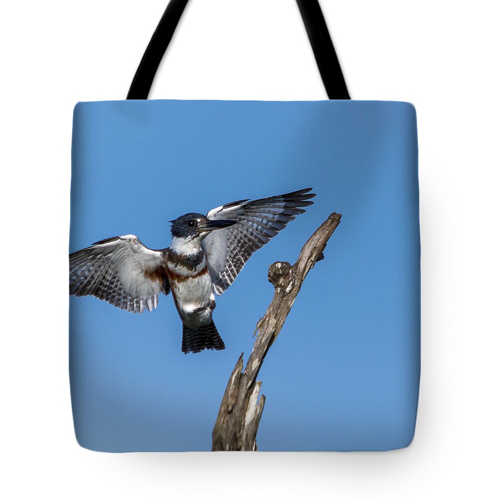 Kingfisher Tote Bag featuring the photograph Kingfisher Landing by Jim Miller